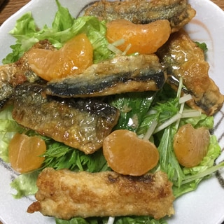 秋刀魚と水菜のオレンジサラダ